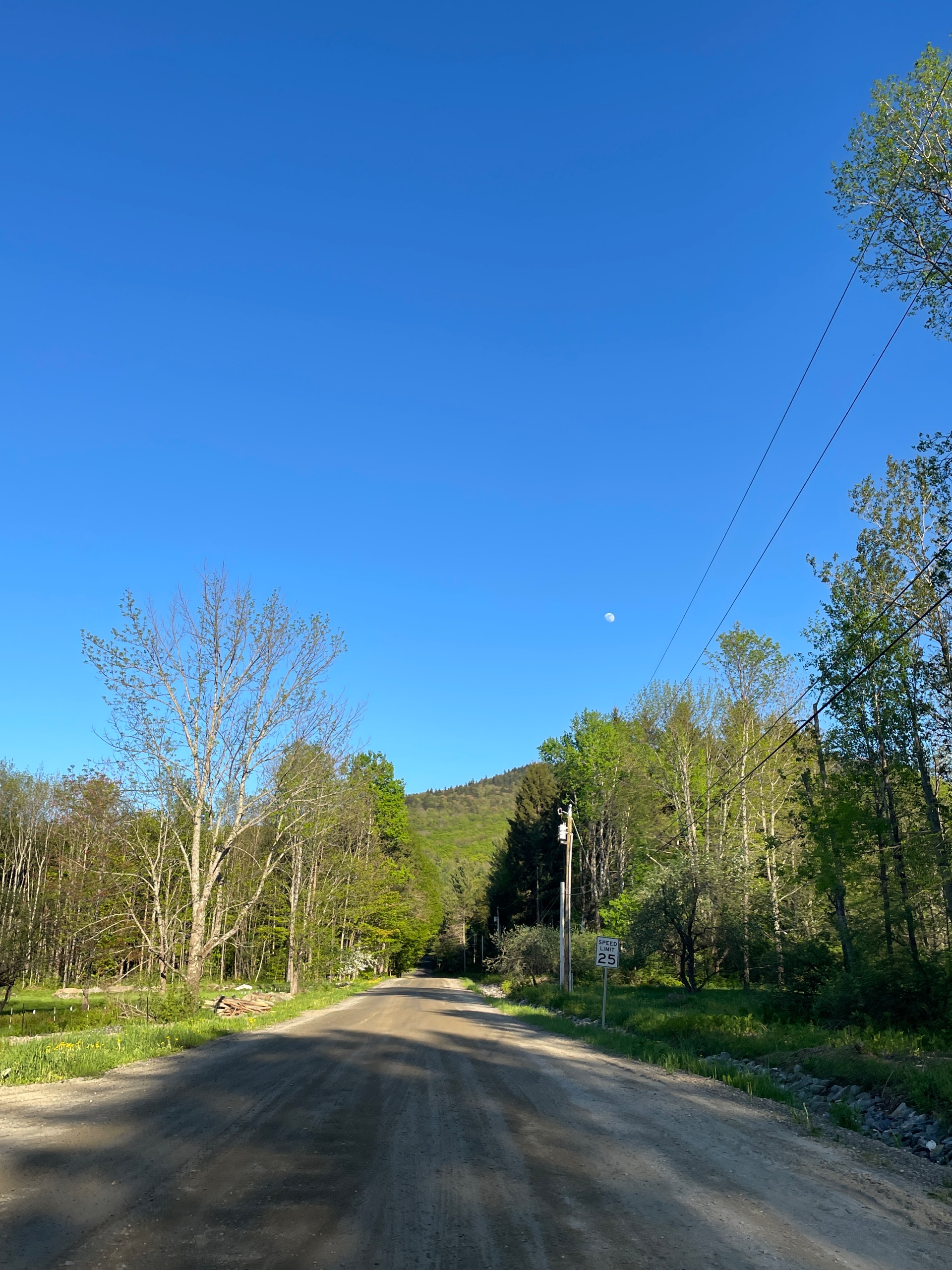 Bottom of the Stowe Pinnacle Trail