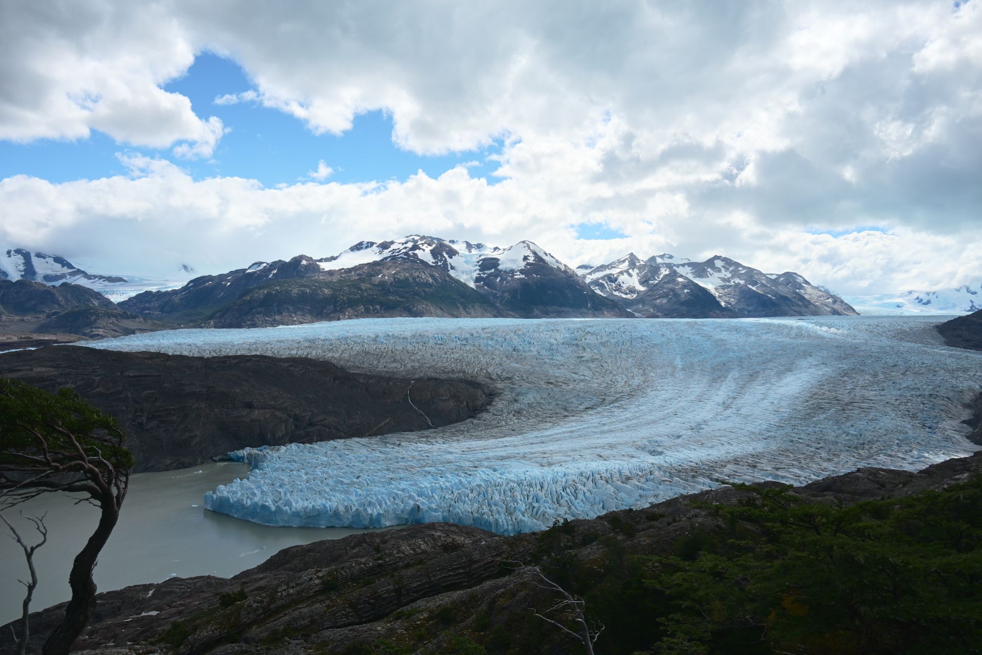 Grey Glacier