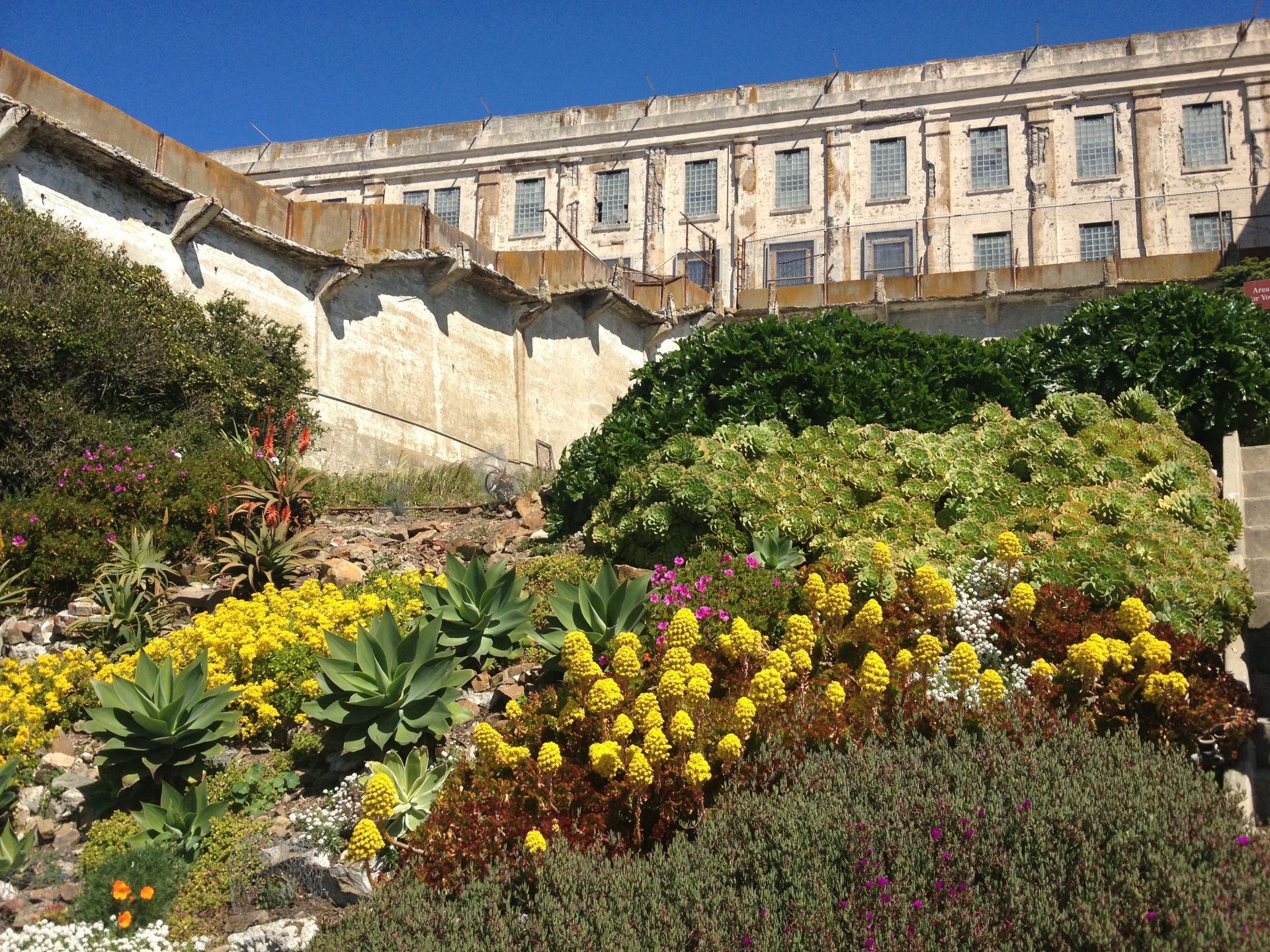 alcatraz san francisco