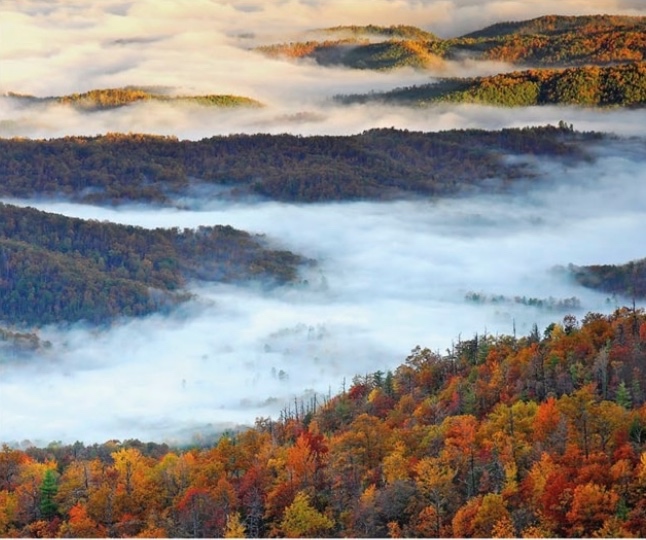 The Cherokee National Forest