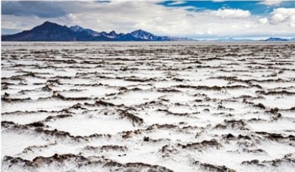 The Great Basin Desert