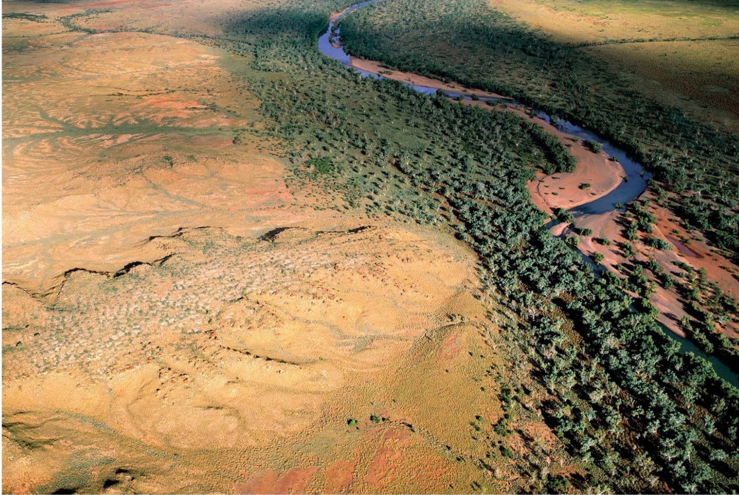 The Great Sandy Desert