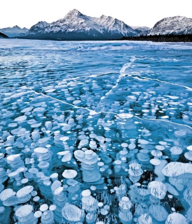 Lake Abraham