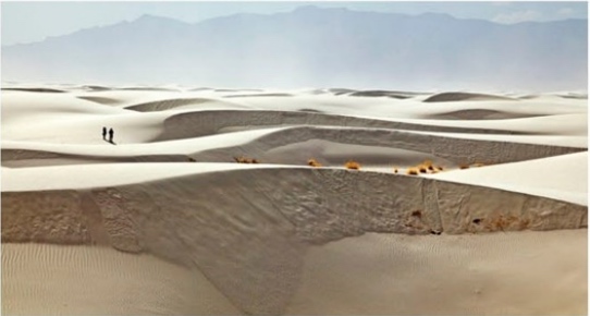 The Chihuahuan Desert