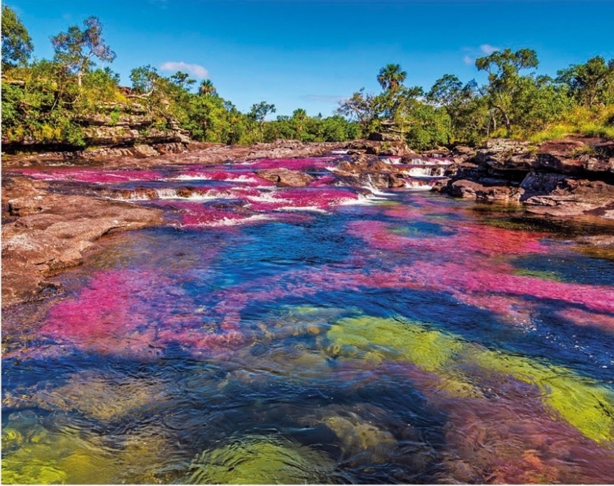 Caño Cristales