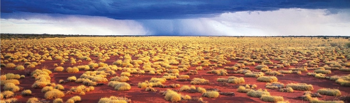 The Gibson Desert