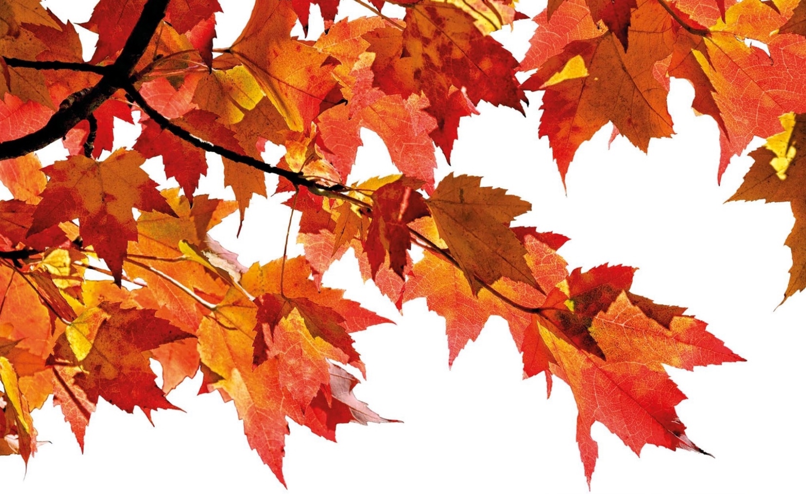 Green Mountain National Forest