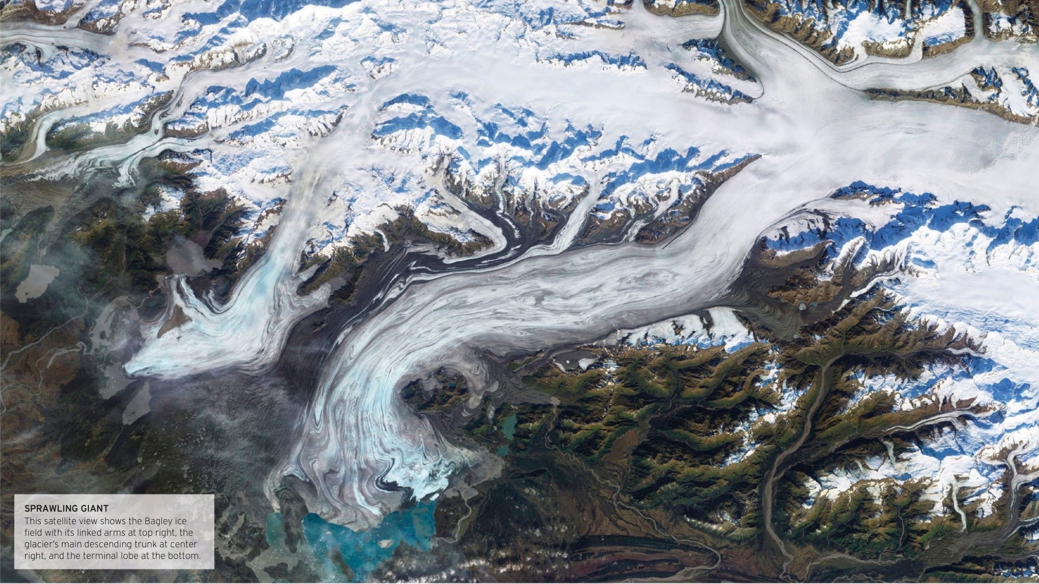 The Bering Glacier