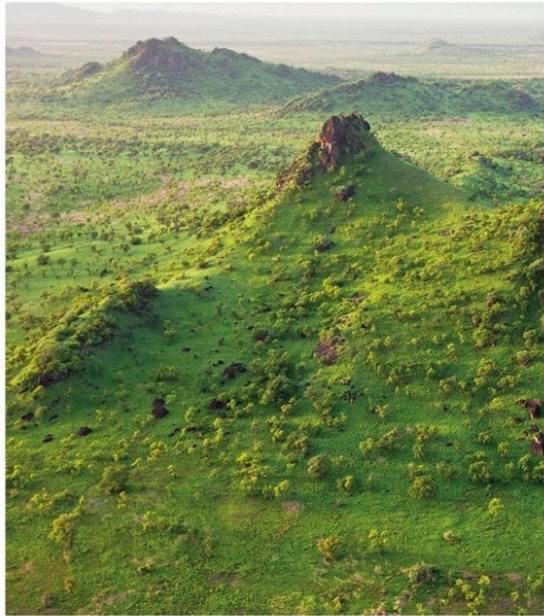 The Sudanian Savannas