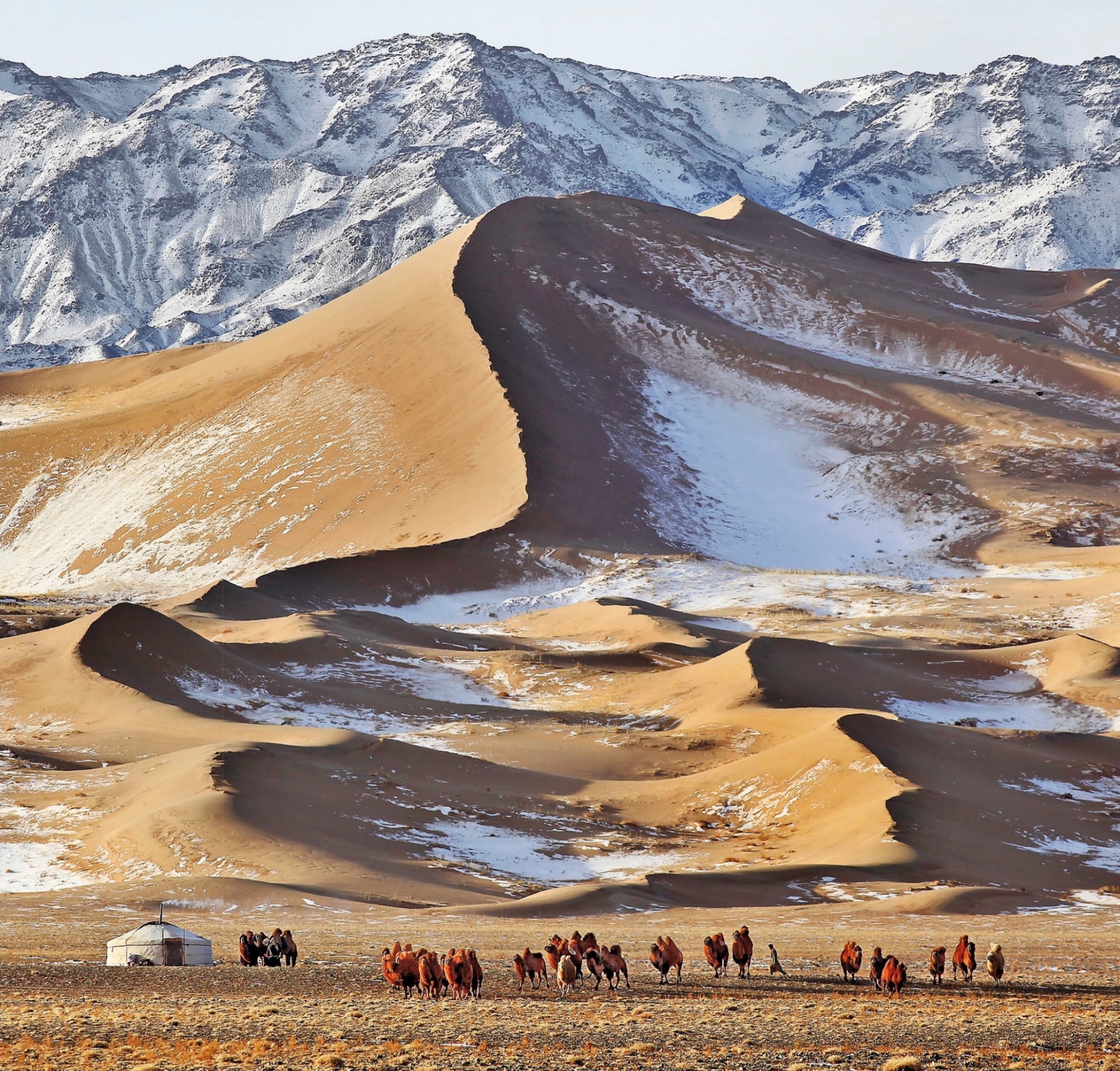 The Gobi Desert