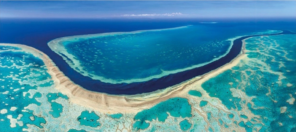 The Great Barrier Reef