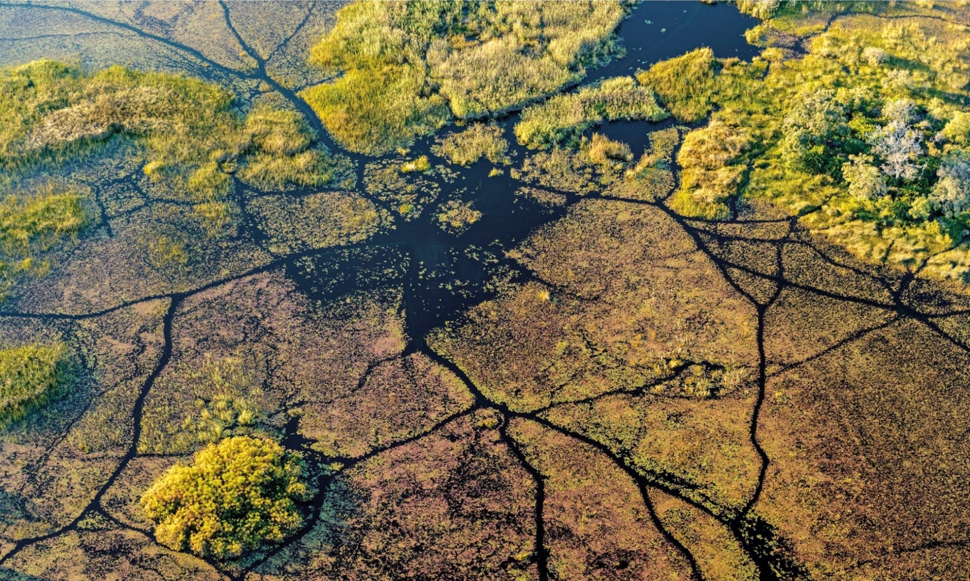 The Okavango Delta