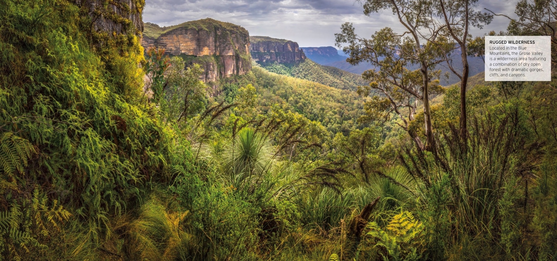The Great Dividing Range