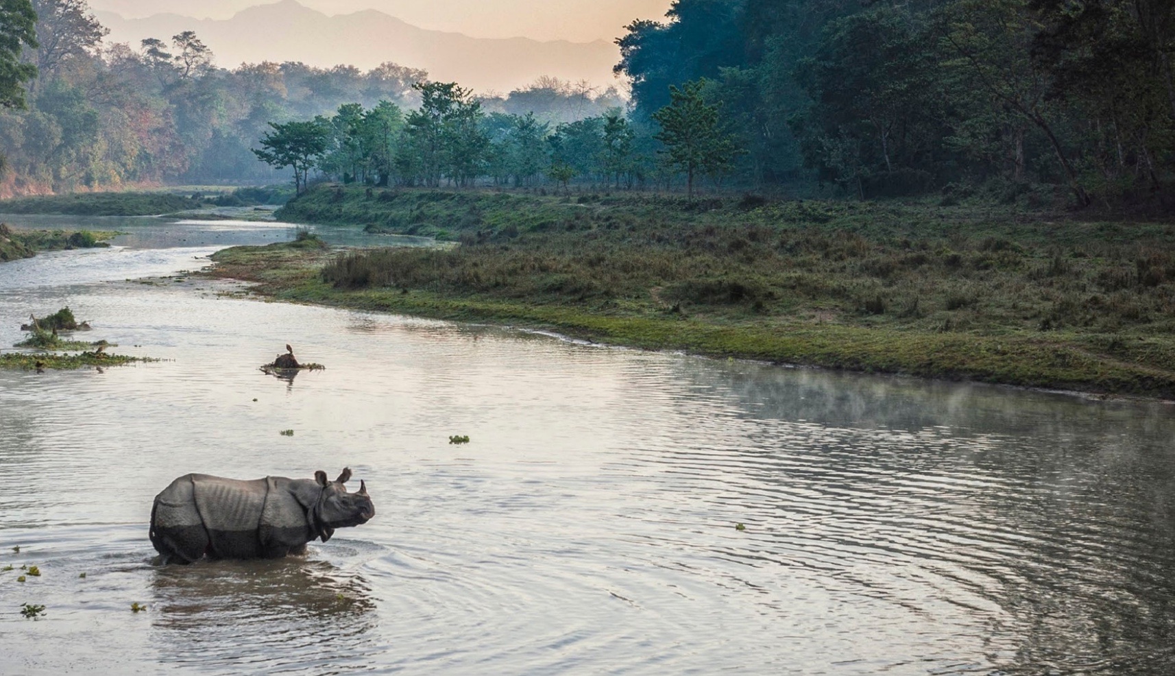 The Terai-Duar Savannas