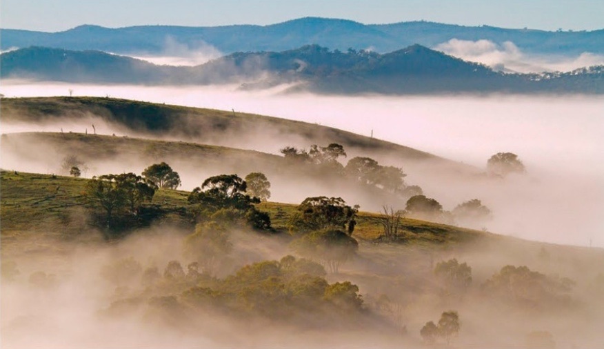 Eastern Australian Temperate Forest