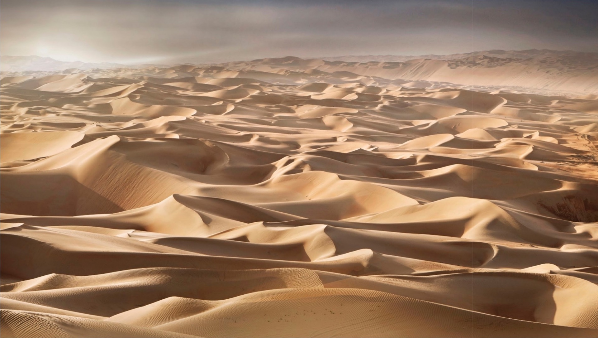 The Arabian Desert
