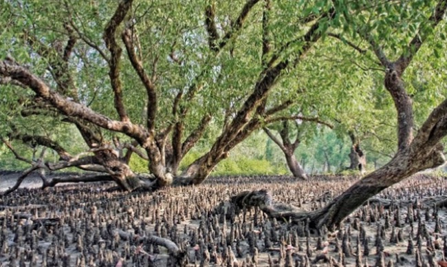 The Hornocal Mountains