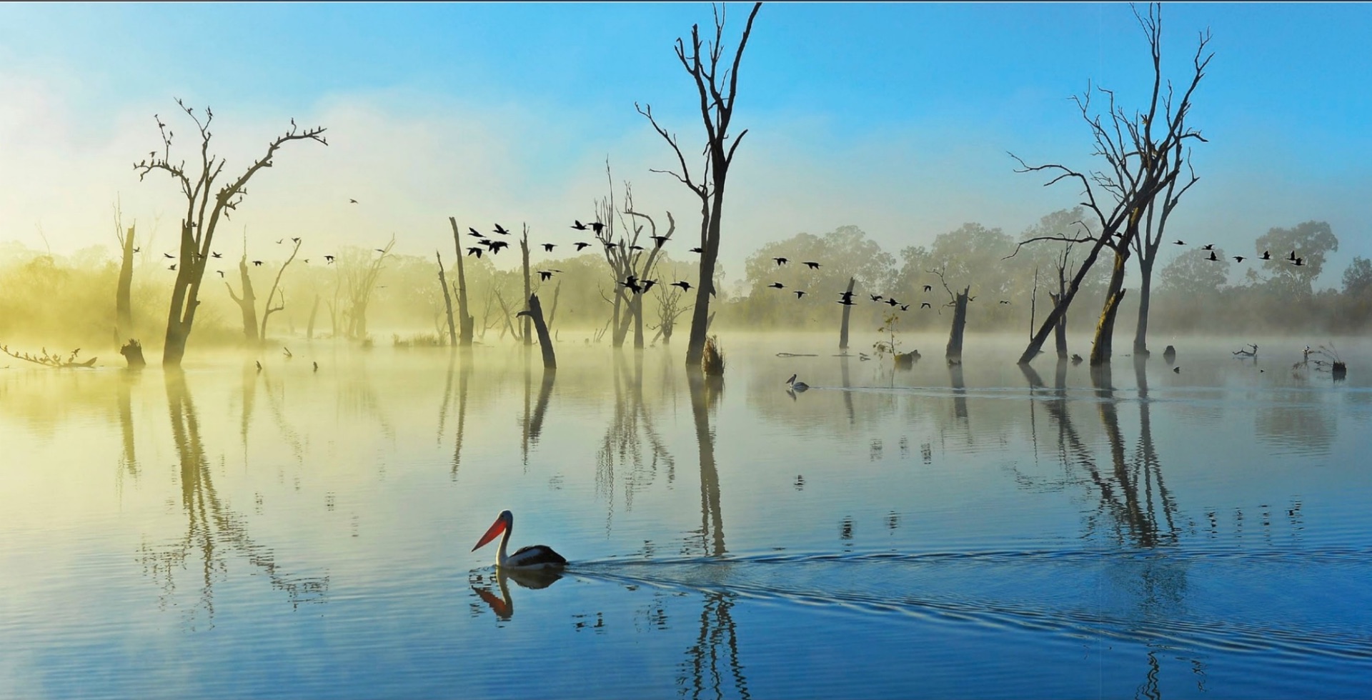 The Murray–Darling